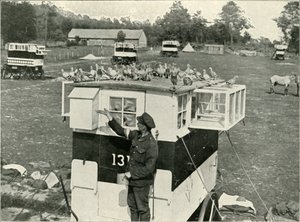 Palomas mensajeras del ejército británico en Francia: lofts tirados por caballos, 1919