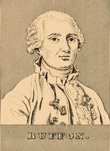 Buffon, 1707-1788, 1830 de Unbekannt