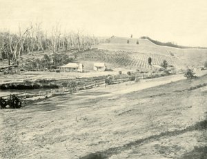 Casa del trabajador del monte, Gippsland, Victoria, 1901 de Unbekannt