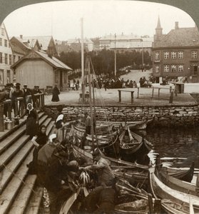 Comprando pescado en un puerto comercial ártico concurrido, Tromsoe 69° 38