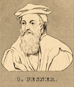 C. Gesner, 1516-1565, 1830 de Unbekannt