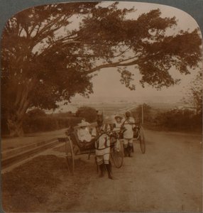 Carros tirados por nativos en una carretera residencial, Durban, Sudáfrica de Unbekannt