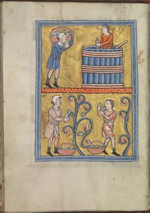 Calendario, septiembre, hombres recogiendo y pisando uvas - Salterio de Leonor de Aquitania (ca. 1185) - KB 76 F 13, folio 009v de Unbekannt