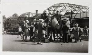 Paseo en camello, c 1930 de Unbekannt