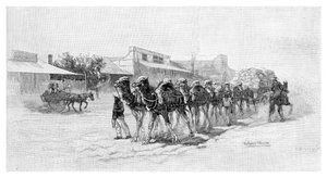 Equipo de camellos, Wilcannia, Nueva Gales del Sur, Australia, 1886
