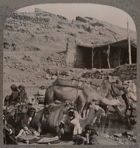 Caravana de camellos de Jerash, bebiendo en la Fuente de Elías, c. 1900 de Unbekannt
