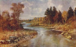 Escena del bosque canadiense, 1924 de Unbekannt