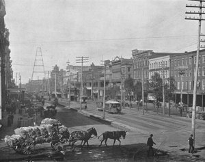 Canal Street, Nueva Orleans, Luisiana, EE.UU., c. 1900 de Unbekannt