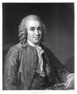 Carolus Linnaeus, naturalista sueco del siglo XVIII, 1835 de Unbekannt
