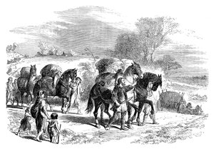 Llevando pan a Londres en caballos de carga, c1895 de Unbekannt