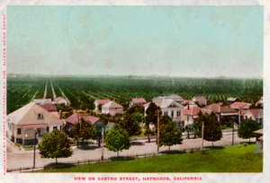 Calle Castro, Hayward, California, 1905 de Unbekannt