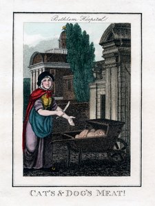 ¡Carne de gatos y perros!, Hospital de Bethlem, Londres, 1805