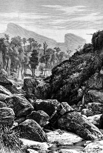Ceilán Sri Lanka, 1895 de Unbekannt