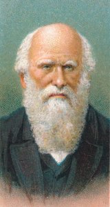 Charles Darwin 1809-1882, naturalista británico, 1924
