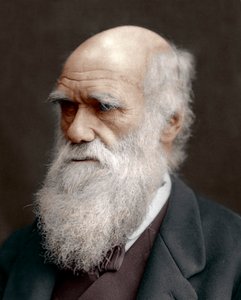 Charles Darwin, naturalista británico, 1878