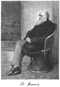 Charles Darwin, naturalista inglés, 1883 de Unbekannt