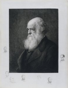 Charles Darwin, naturalista inglés, c 1860s de Unbekannt