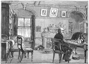Charles Darwin, naturalista inglés, en su estudio, c. 1870-1887 de Unbekannt