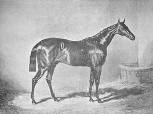 Carlos XII, ganador del St. Leger 1839 de Unbekannt