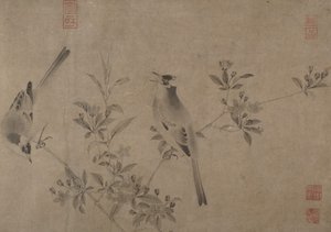 Bulbul chino en cerezo en flor