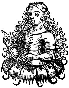 Sibila Cimeria, 1493 de Unbekannt