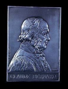 Claude Bernard, fisiólogo francés del siglo XIX, 1913 de Unbekannt