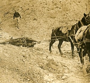 Despejando el campo de batalla, c1914-c1918
