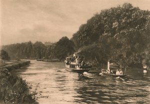 Cliefden Reach