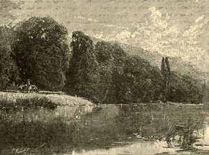 Bosques de Cliefden, 1898 de Unbekannt