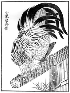 Gallo, siglo XV 1886 de Unbekannt
