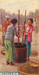 Café, 3. Descascarado de los granos, Java