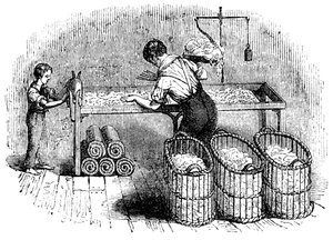 Fabricación de algodón, c. 1845 de Unbekannt