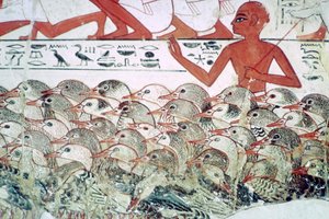 Contando los gansos: fragmento de pintura mural de la tumba de Nebamun, Tebas, Egipto, c. 1350 a.C. de Unbekannt