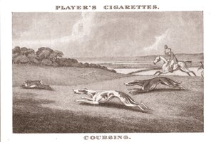 Caza con galgos-11, 1924