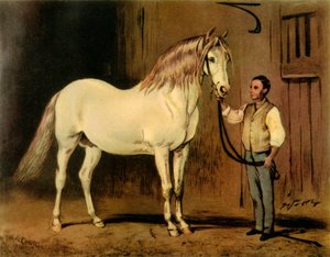 Caballo de Carruaje de Estado Crema del Establo de la Reina Victoria, c1875, 1944 de Unbekannt