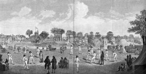 Críquet en Moulsey Hurst, 1890 de Unbekannt