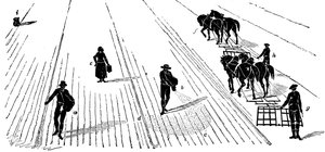 Rotación de cultivos: siembra y rastrillado de maíz, 1855 de Unbekannt