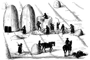 Rotación de cultivos: trilla de hierba de centeno para semilla, 1855 de Unbekannt
