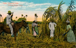 Cuba: Corte de Caña. Cortando caña de azúcar, c. 1910 de Unbekannt