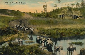 Tren de carga cubano, c1910