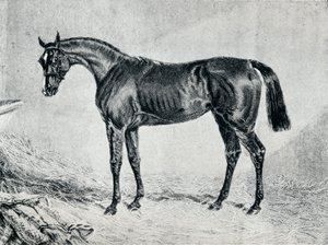 Chipriota, siglo XIX de Unbekannt
