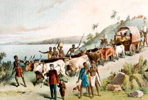 David Livingstone, misionero escocés y explorador africano de Unbekannt