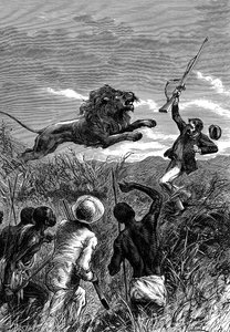 David Livingstone, misionero escocés y explorador africano, siendo atacado por un león, c1860 de Unbekannt
