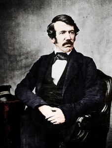 David Livingstone, misionero y explorador escocés, siglo XIX de Unbekannt