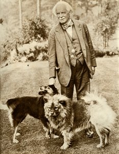 David Lloyd George, 1935 de Unbekannt