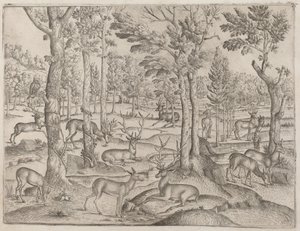 Ciervos en el bosque, c. 1520 de Unbekannt