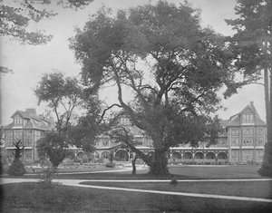 Del Monte, Monterey, California, c1897 de Unbekannt