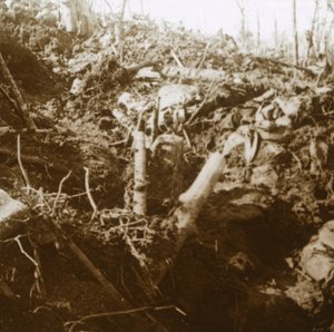 Refugio destruido, Les Éparges, norte de Francia, 1915 de Unbekannt
