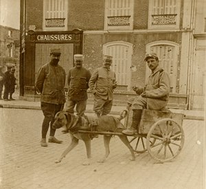 Carro de perros, Francia, c1914-c1918