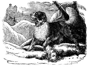 Perro del Hospicio de San Bernardo encontrando a un viajero en la nieve, c1840 de Unbekannt